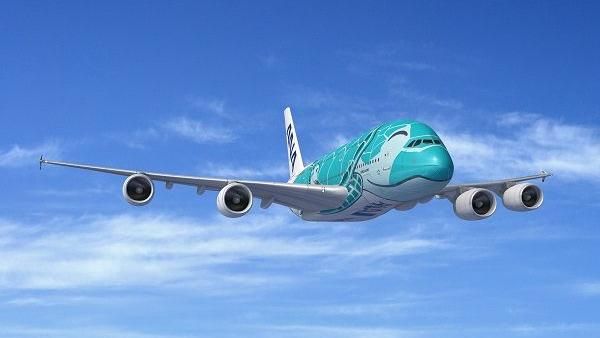 ANA夏威夷海龜機 微笑新登場