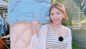 熊熊(卓毓彤),狗狗,寵物。（圖／IG）