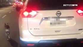 男開車遛狗0700(DL)