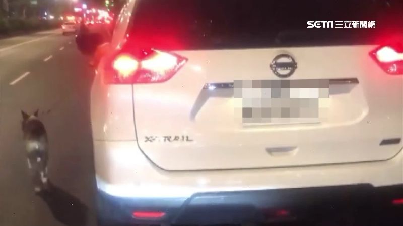 直擊狗主人「開車遛狗」　他傻眼氣炸