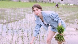 一張「插秧照」登熱搜　網：美到誇張