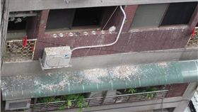 里長抱怨鴿子入侵社區　柯文哲：持續抓台北市信義區廣居里長楊玉堂10日與市長柯文哲座談時表示，里內海華社區遭鴿子入侵，嚴重影響環境清潔與生活安寧；柯文哲裁示，由里長持續抓鴿子。（信義區公所提供）中央社記者梁珮綺傳真　108年7月10日