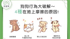 名家專用／毛起來MAOUP（勿用）