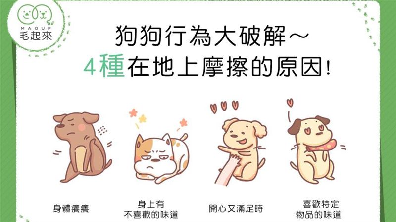 狗狗行為大破解　4種在地上摩擦原因