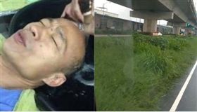 韓國瑜洗頭,雜草,組合圖