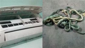 泰國,冷氣機,蛇,外蓋,壁虎。(圖/翻攝自泰國世界日報)
