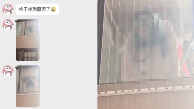 窗外有鬼！女兒嚇到爆哭　真相廢到笑