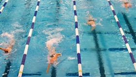 游泳池。（圖／翻攝自PIXABAY）