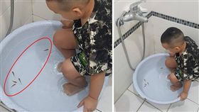 不少人到宜蘭礁溪遊玩，都會體驗當地的溫泉「魚咬腳」。一名男網友表示，他之前曾帶兒子體驗過，沒想到兒子到夜市撈完魚就將戰利品帶到浴室，還把小魚放到裝水的臉盆，期待小魚來咬腳。男網友看到這一幕後，當場傻眼，還留言笑虧：「重點是，魚都不咬他！」（圖／翻攝自爆廢公社）