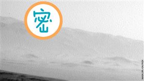 （圖／翻攝自推特）美國,NASA,鳥,照片,外星