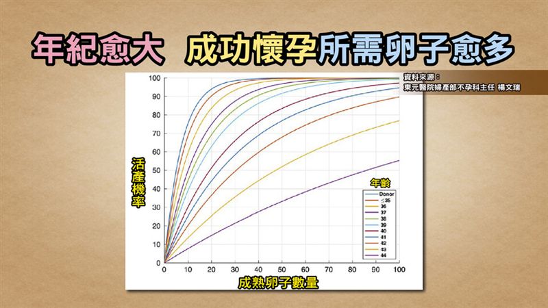 養好卵巢 揮別婦女病 小心地雷食物