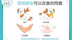 名家專用／毛起來MAOUP（勿用）