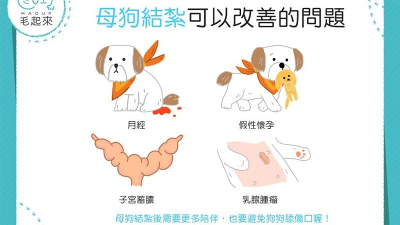 你家汪汪結紮了嗎？母狗結紮好處多多