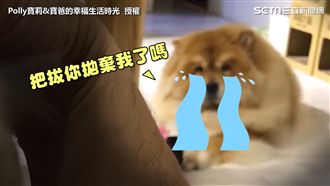 把拔你不愛我了嗎？鬆獅犬地位遭取代