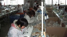 16:9
勞工 工廠 代工 流水線
圖／Pixabay