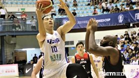 瓊斯盃中華藍胡瓏貿。（圖／記者劉家維攝影）