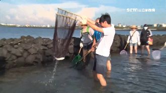石滬搖身變捕魚體驗營！民眾讚：好玩