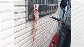 膚色內衣,胸罩,窗戶,綠帽,暗號(圖/翻攝自爆怨公社)