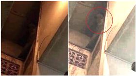 泰國,吊扇,凶宅,鹹魚,情殺(圖/翻攝自臉書)