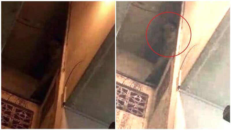 情殺「吊扇掛屍」！男見祂敲門飄腥臭