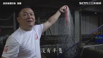 影／達人實測！挑戰用「這個」來釣蝦