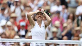 ▲哈蕾普。（圖／取自溫布頓網賽推特）