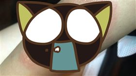 隱翅蟲,蚊蟲,病蟲害,過敏,水泡,皮膚科,酸液,侵蝕,疤痕,爆怨公社 圖／翻攝自爆怨公社臉書　https://parg.co/N82