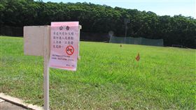 新竹,清大,紅火蟻,防治,安全