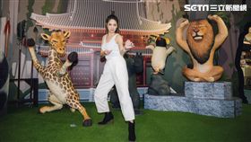 展覽,動物也瘋狂,朝隈俊男,Animal Life,阿喜,林育品,寬宏藝術