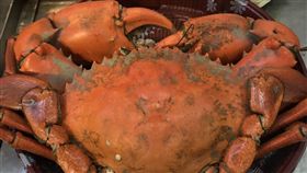 漁民捕獲巨無霸沙公！下場被煮來吃了（圖／翻攝畫面）