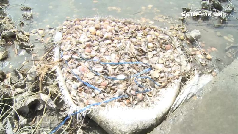 偷釣害生計　老漁民懼報警…真相鼻酸