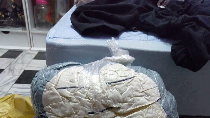 網購卡比獸玩偶　收到實品竟然長這樣
