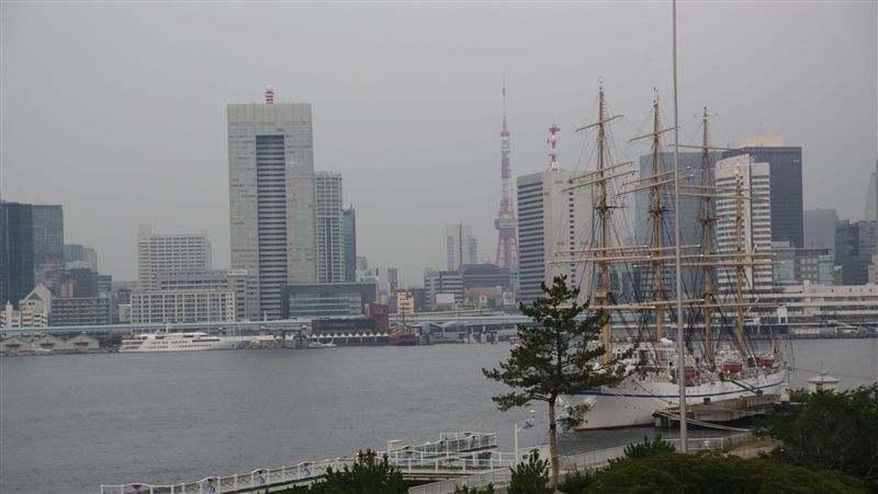 東京連日陰雨　17天日照不足3小時
