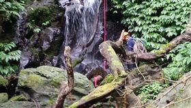 登山,會長,南插天山,失聯,桃園