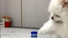 （１６：９）踢瓶蓋的一瞬間。（圖／翻攝自pom_hongseol　IG）