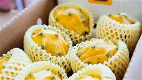 （圖／翻攝自推特）水果,麒麟果