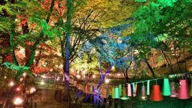 ▲「日本五大七夕祭典」（圖／樂天旅遊提供）