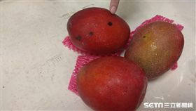 安南醫院消化科醫師蔡坤峰說，芒果果皮出現黑點是芒果褐變的結果，果肉是安全可吃的。（圖／安南醫院提供）