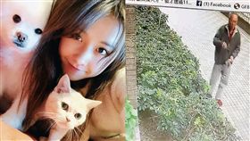 名人社區成貓墳場　30毛孩慘被毒殺
圖／周刊王授權提供