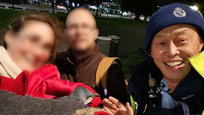 紐西蘭企鵝就愛壽司店魚香　不想離開