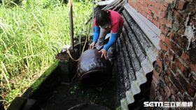 台南市政府防疫人員於台南市左鎮區榮和里執行孳生源查核。(圖／疾管署提供)