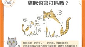 
名家專用／毛起來MAOUP（勿用）