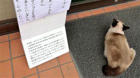 可愛的貓咪看似無害，但在民間卻有不少傳言，像是貓咪有9條命是「9命怪貓」、黑貓有陰陽眼會看見一般人看不到的鬼魂等，日本對於貓咪也有一句俗諺「猫は長者の生まれ変わり」，意思是貓咪是長者的轉世。而近日日本一家餐廳居然意外驗證這句話，因為有一隻貓咪突然莫名奇妙的賴在門口不走，店員才驚覺，原來這天是店長的忌日。（圖／翻攝自@ ringroad1推特）