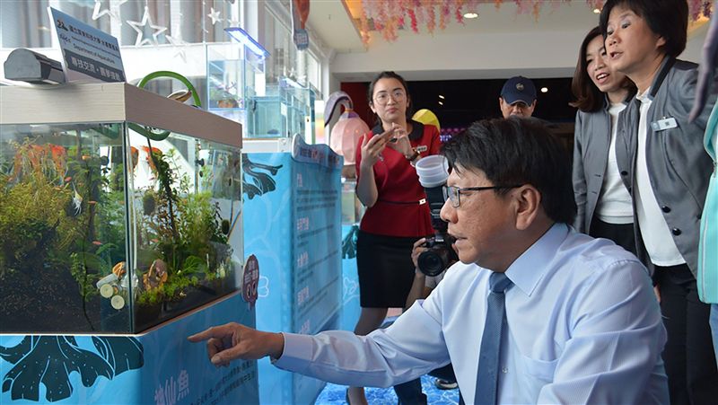 發展觀賞魚產業　屏東縣府辦交流賽！