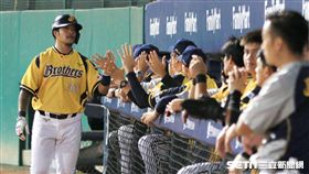 中華職棒兄弟隊林智勝於九局順利得分。（記者林士傑/攝影）
