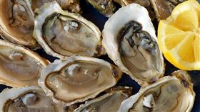 生蠔（圖／取自Pixabay）