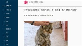 

蔡英文Dcard分享摸貓照「出差想毛小孩」 網看亮點：是總統！