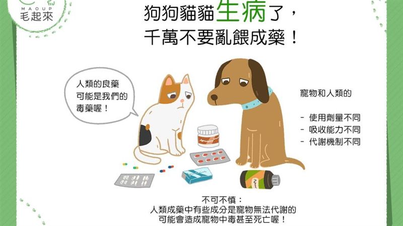 汪汪貓貓生病了　千萬不要亂餵成藥！