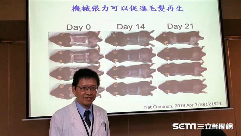 北榮「拉鼠皮」　找到救「禿子」新招