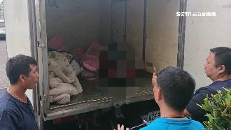 走私4百公斤海豚肉　司機辯：是鯊魚